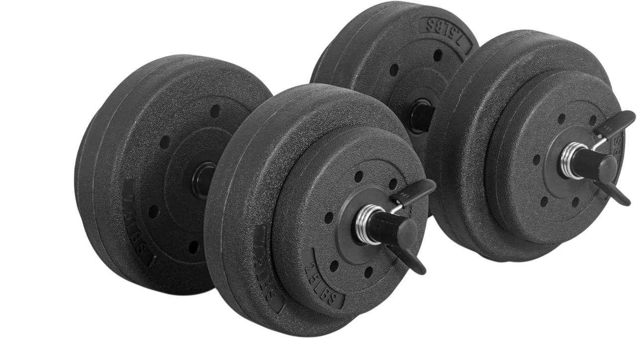 Barbell 40-Pound Adjustable Cement Dumbbell Set by Ethos